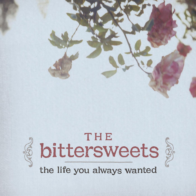 The Life You Always Wanted cover art