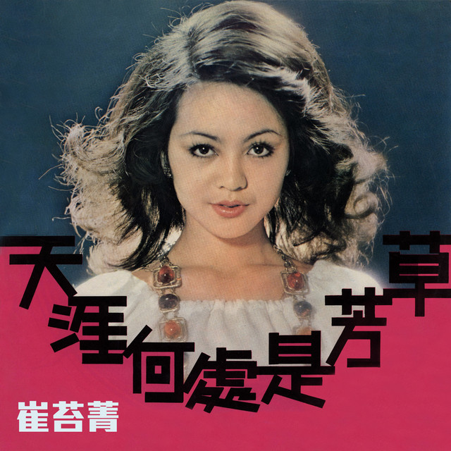 【いいね不要】レコード 崔苔菁