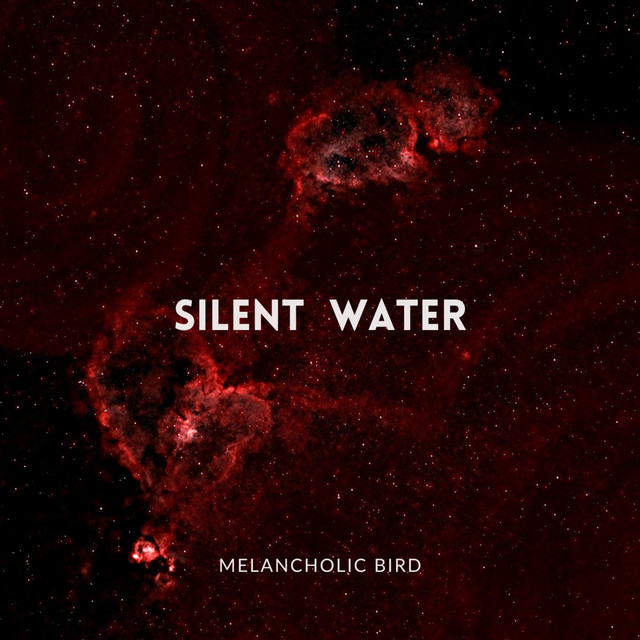 Cover art: Silent Water — Melancholic Bird
