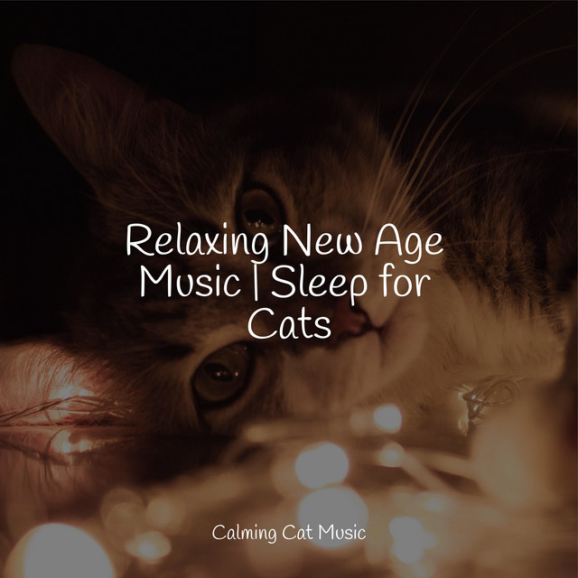 Relaxing New Age Music | Sleep for Cats - Album by Jazz Music Therapy ...