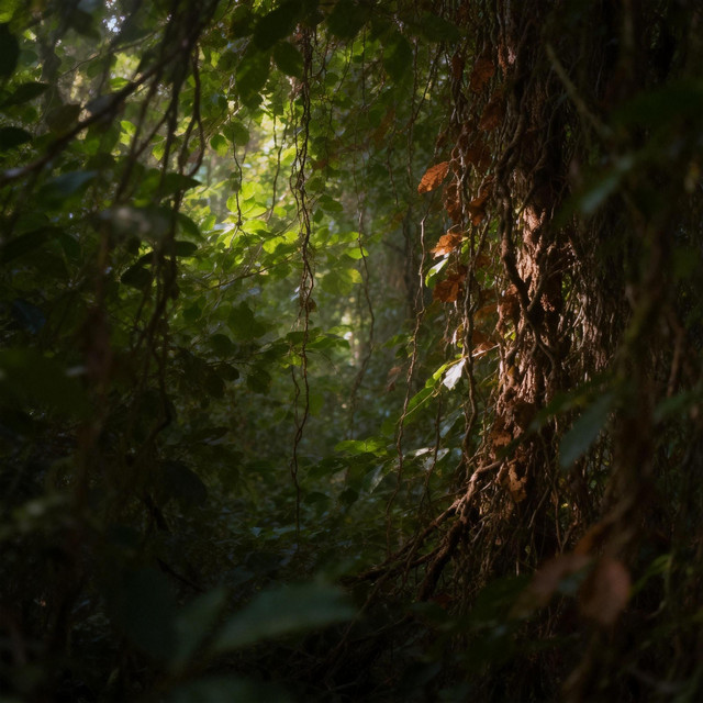 许澈
