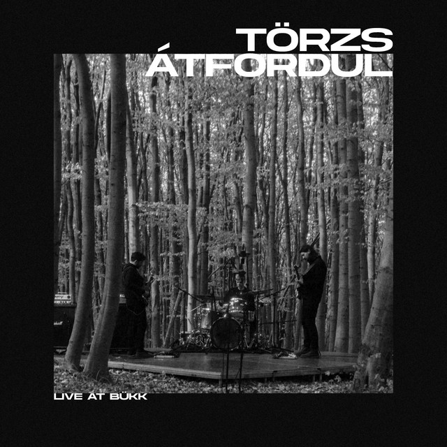 Átfordul (Live) (single)