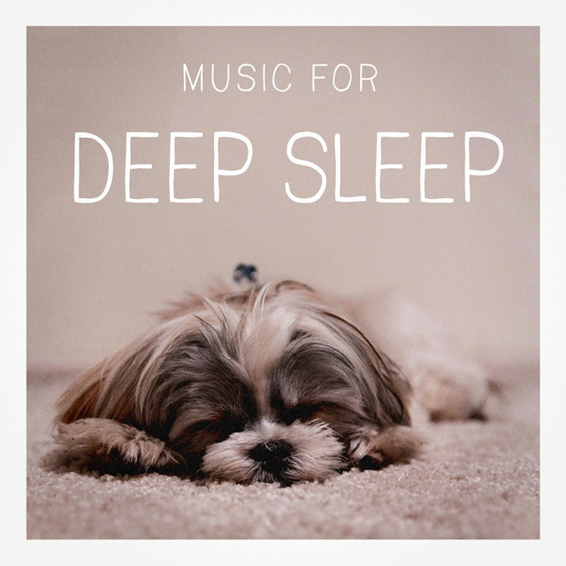Music for Deep Sleep cover art