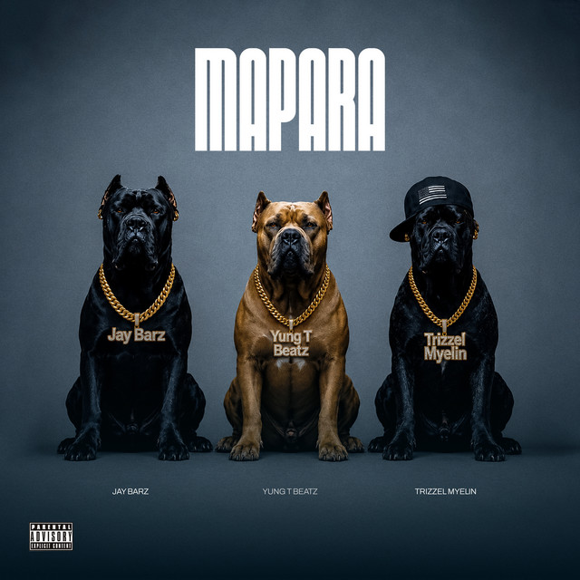 Mapara