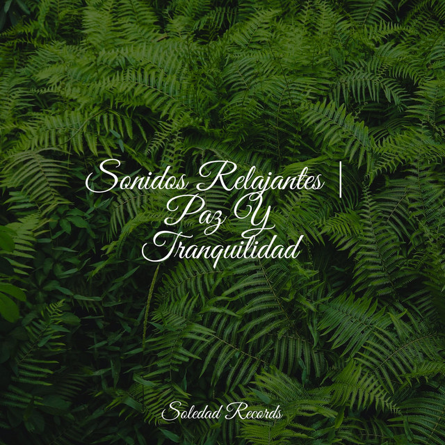 Sonidos Relajantes | Paz Y Tranquilidad