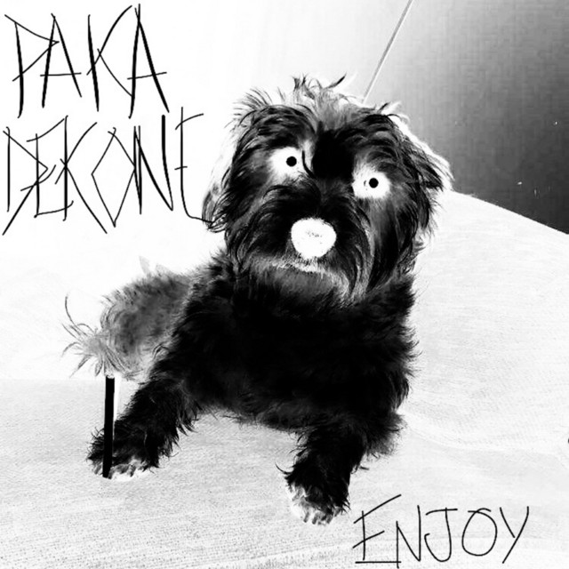 Enjoy (Bonus Album) cover art