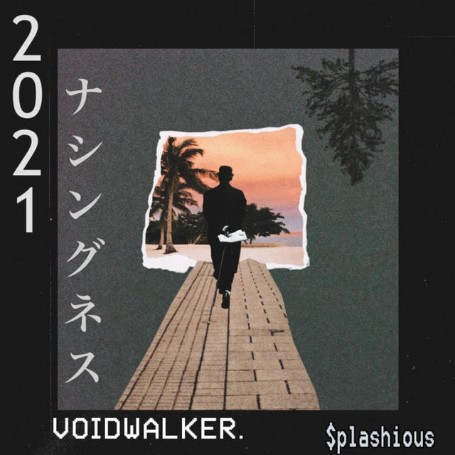 Voidwalker. cover art