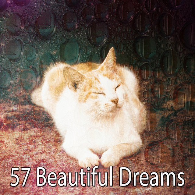 57 Beautiful Dreams cover art