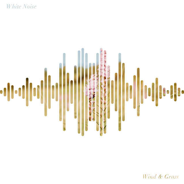 Wind & Grass (White Noise)
