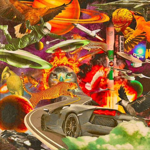 FLY SH!T COLLAGE cover art