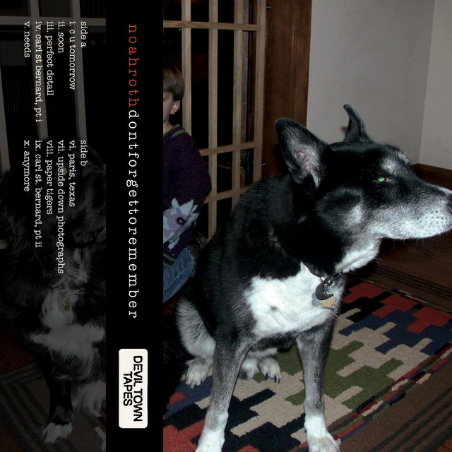 Don't Forget To Remember cover art