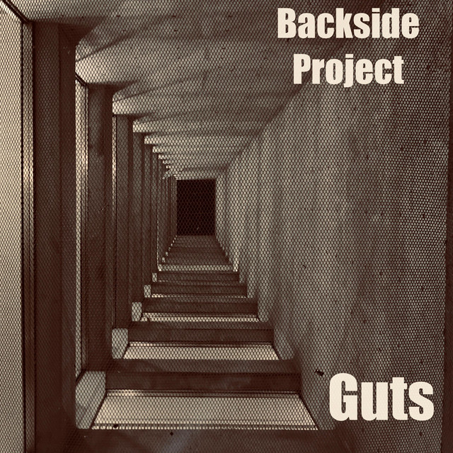 Guts - EP by Backside Project | Spotify