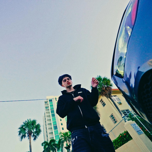 security cover art