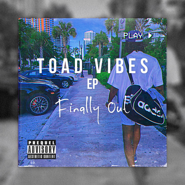 Dade Toad Vibes Ep Finally Out - EP by Dade Toad | Spotify