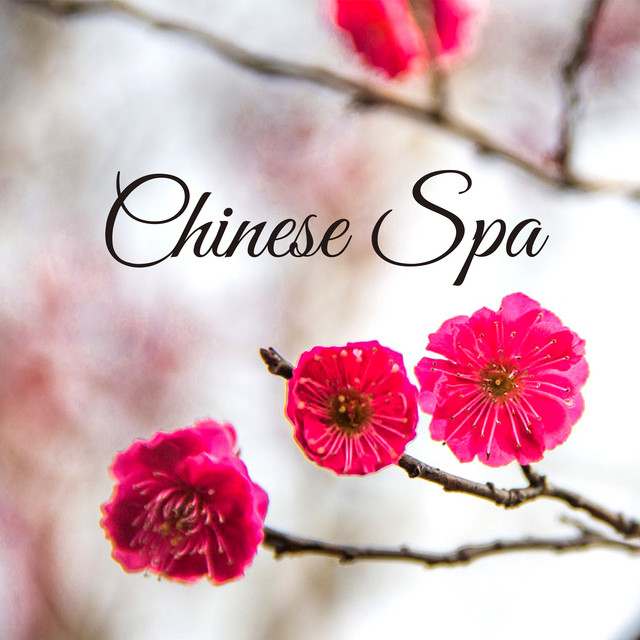 Chinese Healing Retreat cover art