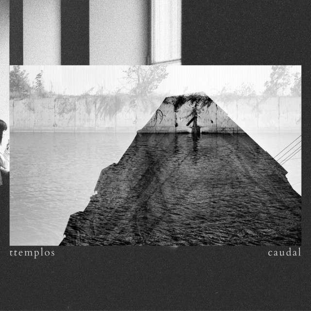 Caudal (single)