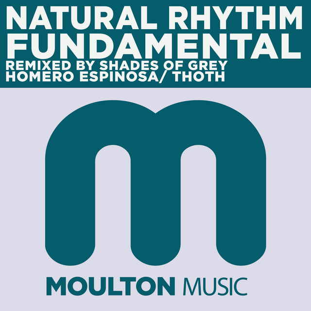 Fundamental - Shades Of Grey Remix cover art