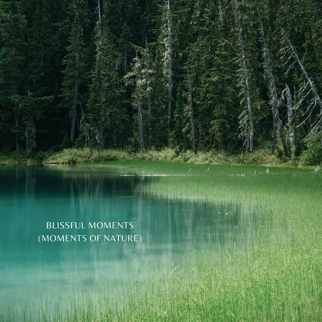 Blissful Moments (Moments of Nature) cover