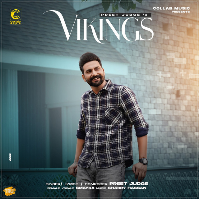 Vikings by Preet Judge