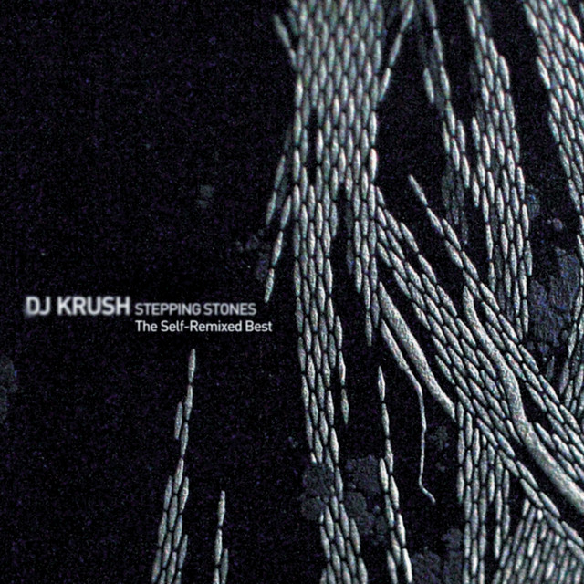 STEPPING STONES - The Self-Remixed Best - Album by DJ KRUSH | Spotify
