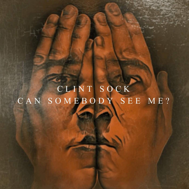 Can Somebody See Me? cover art