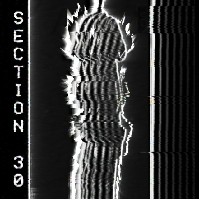 Section 30 cover art