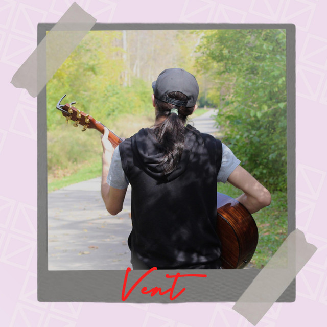 Vent cover art