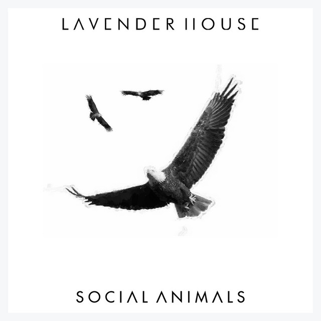 Lavender House