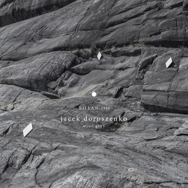 Wide Grey cover art