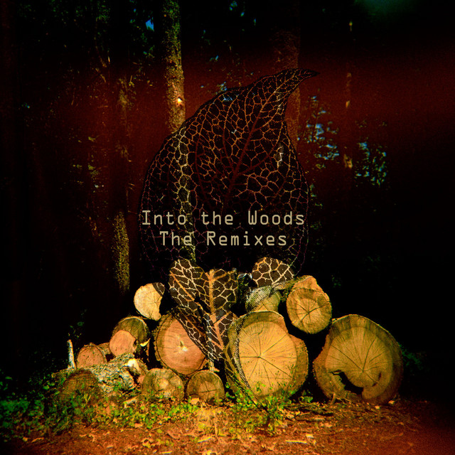 Into the Woods - The Remixes cover art