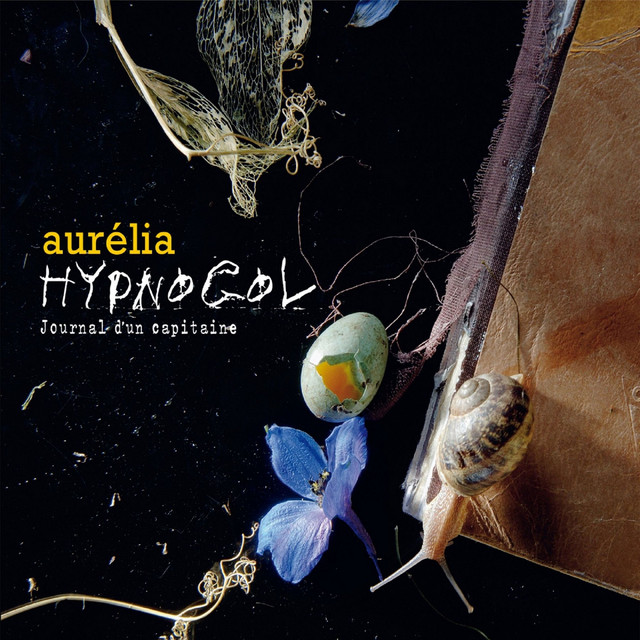 Hypnogol, journal d'un capitaine cover art