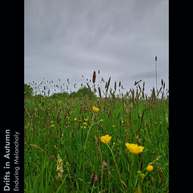 Enduring Melancholy cover art
