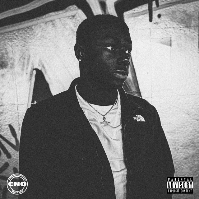 Intro Capsule cover art