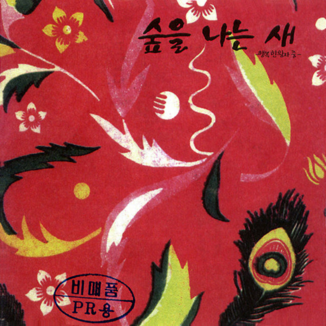 숲을 나는 새 cover