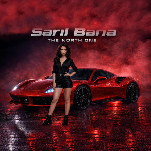 Sarıl Bana cover
