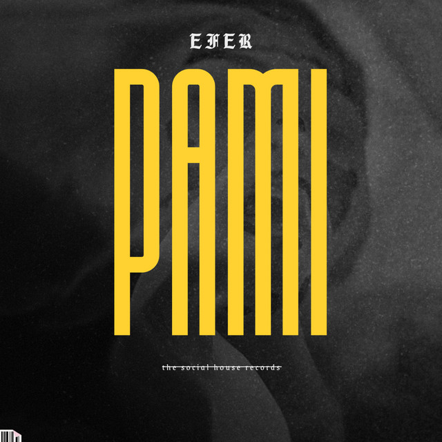 PAMI cover art