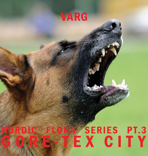 Nordic Flora Series Pt.3: Gore-Tex City