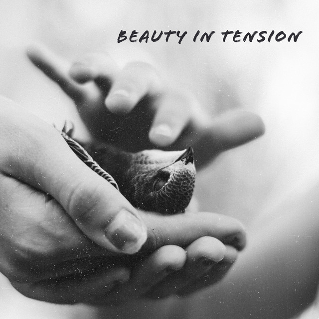Beauty In Tension cover art