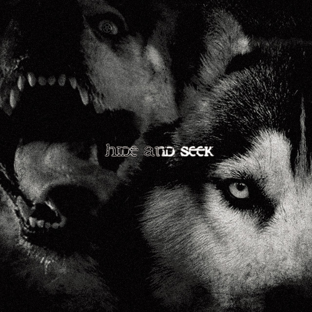 Hide and seek cover art