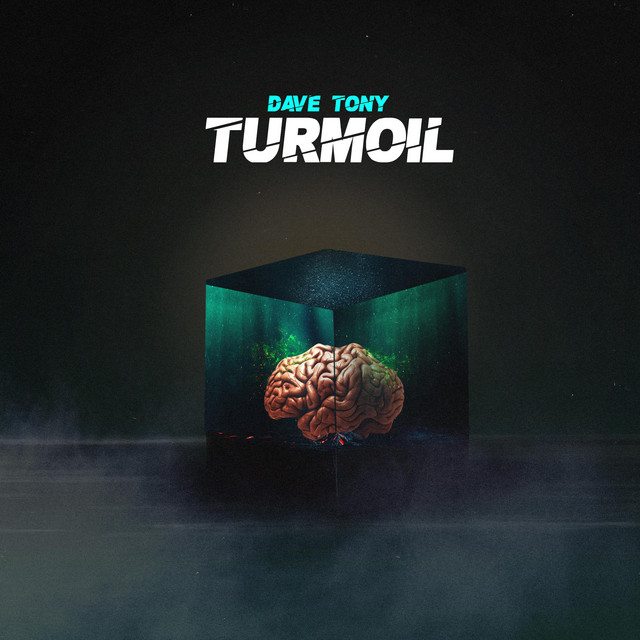 Turmoil - Single by Dave Tony | Spotify