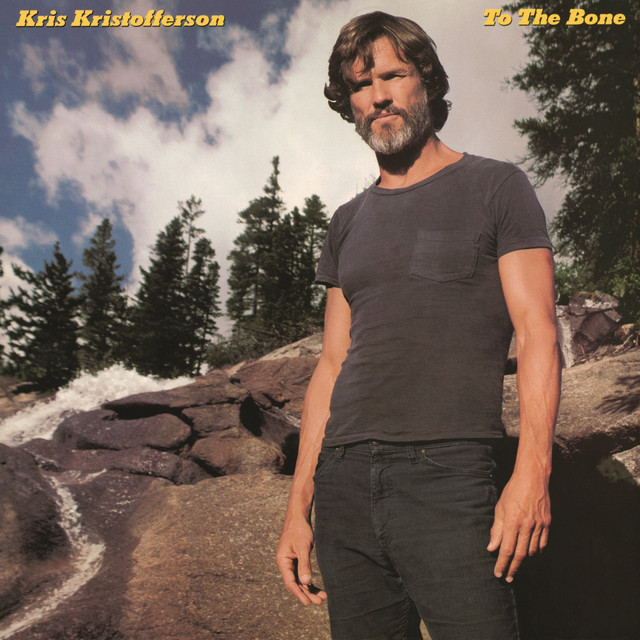To The Bone cover art