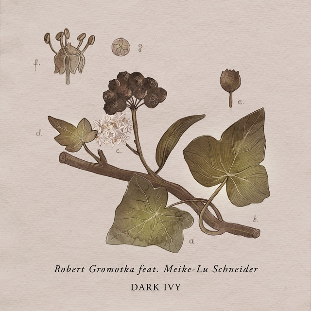 Dark Ivy (feat. Meike-Lu Schneider)