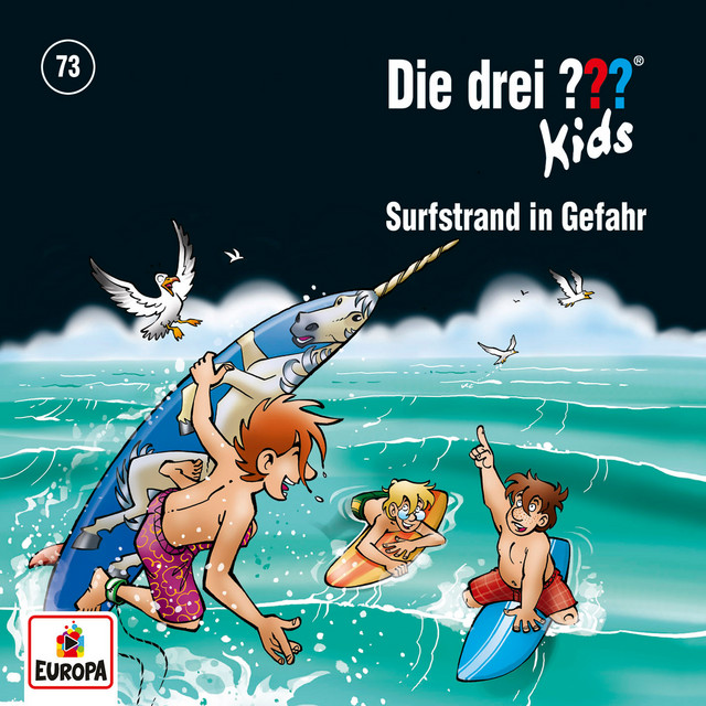 Cover: Surfstrand in Gefahr