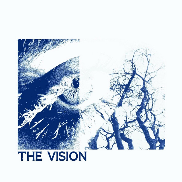 THE VISION cover art