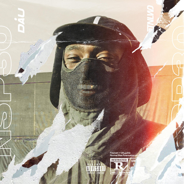NSP30 cover art