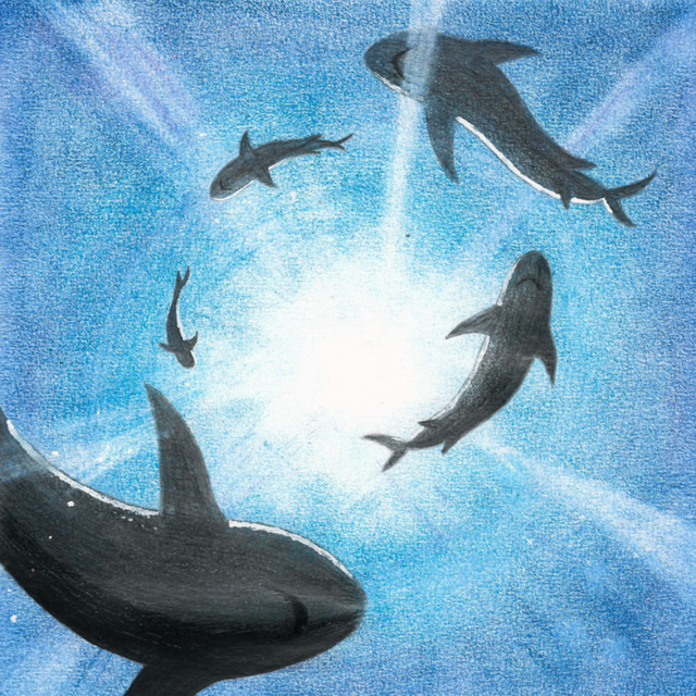 NEMO cover art
