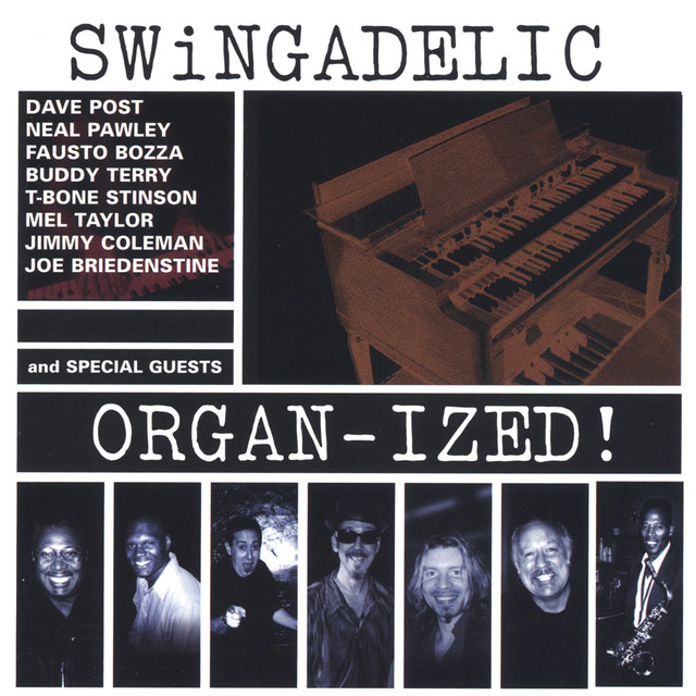 Organized! cover art