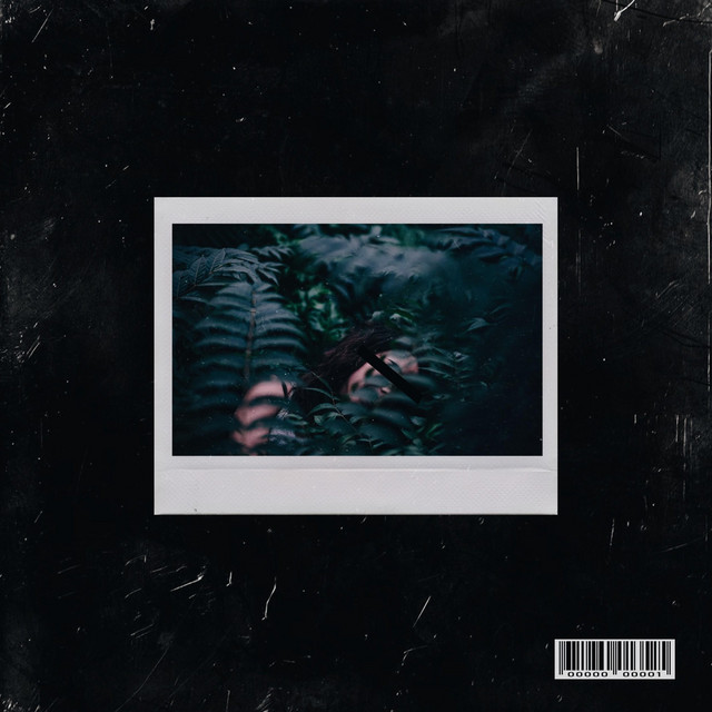 Dreaming cover art