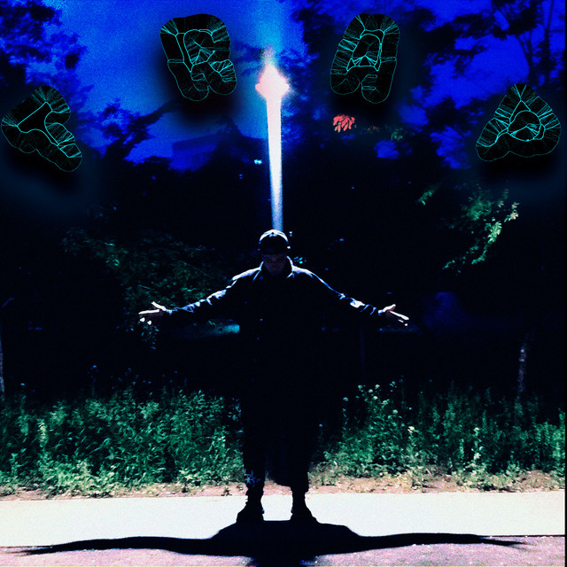 Trap cover
