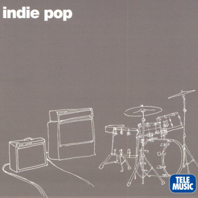 【indie pop】 The Drums LP レコード Drums pop】 LP レコード 【indie The
